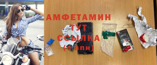 сатива Богданович