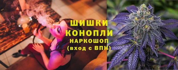 2c-b Богородицк