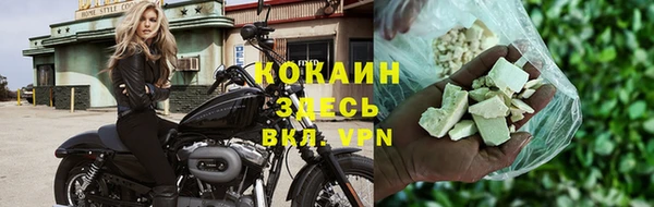 сатива Богданович