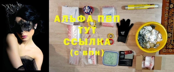 сатива Богданович